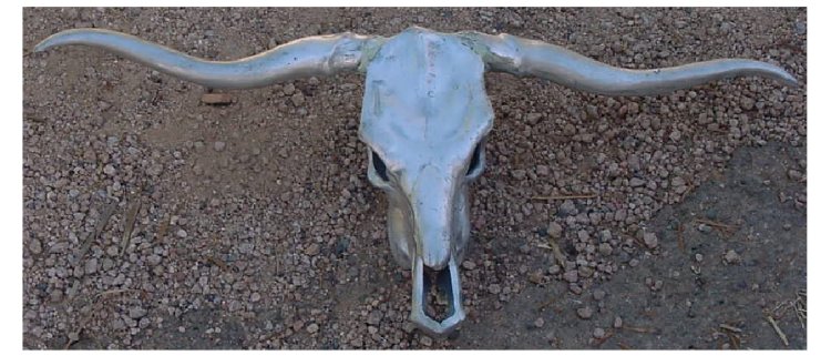 cast skull
