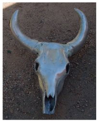 skull statue
