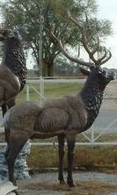 cast aluminum statue