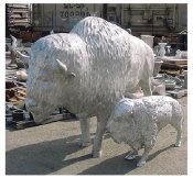large buffalo