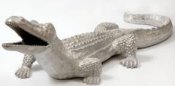 alligator