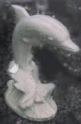 dolphin